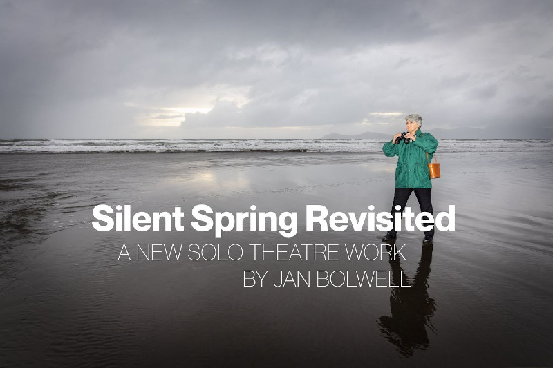 Silent Spring, Jan Bolwell 2021